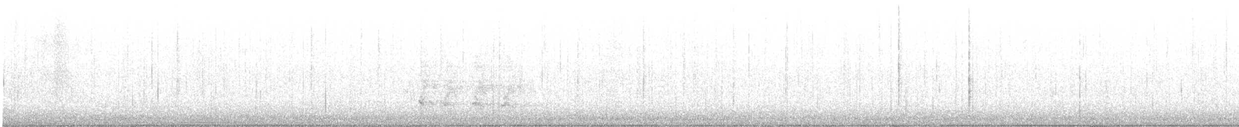 Chara de Steller (annectens) - ML610359326