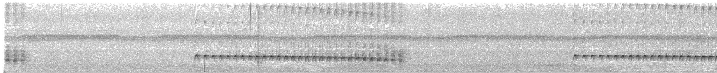 Weißstirn-Ameisenschnäpper - ML610362069