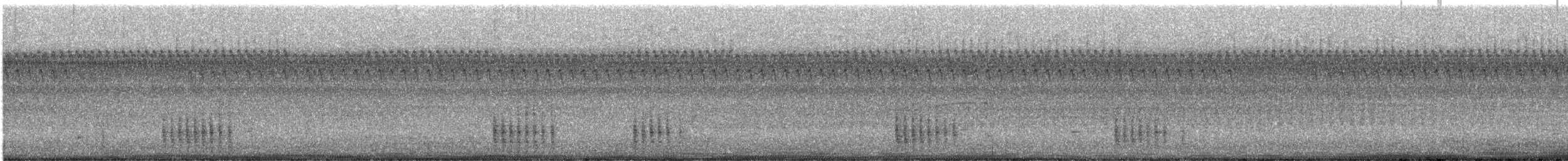 ズアカキツツキ - ML610372590