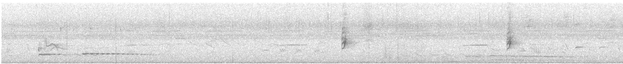 Tinamou à petit bec - ML610376415