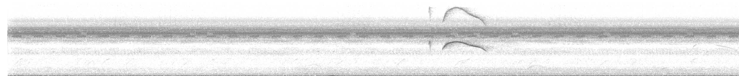 Weißschwanz-Nachtschwalbe - ML610379907
