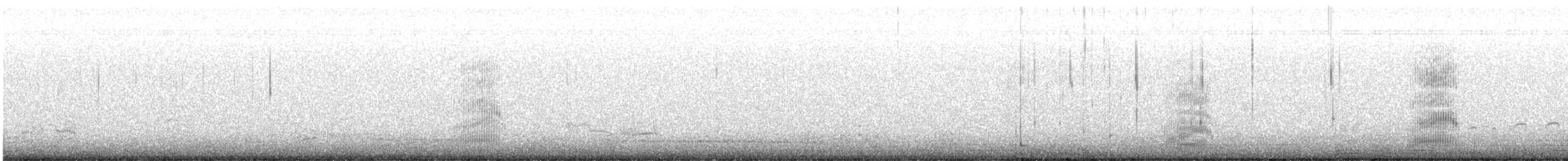 疣鼻天鵝 - ML610382421