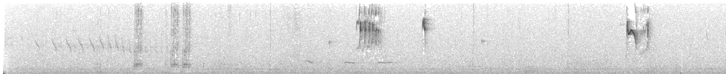 nordmeisetyrann - ML610382762