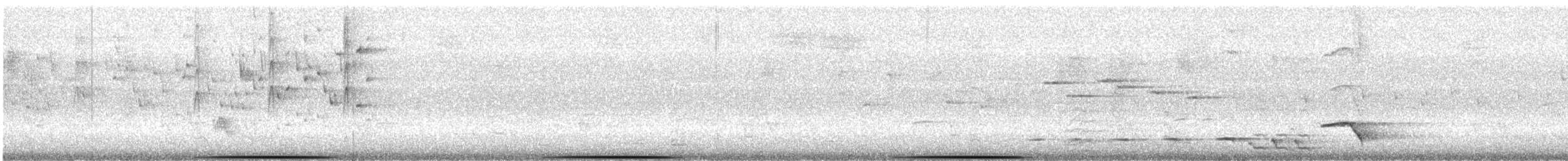 holub bronzovokřídlý - ML610386193