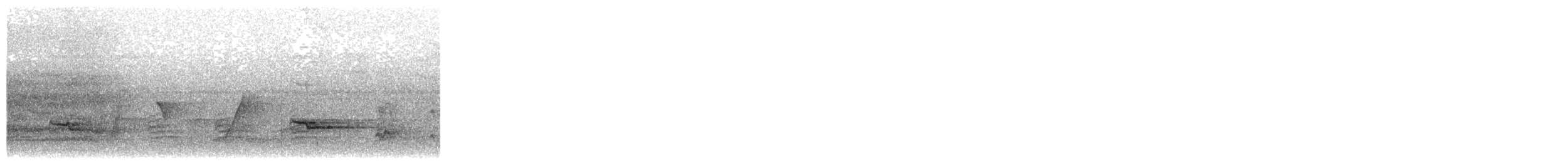 Gray-lored Broadbill - ML610386209