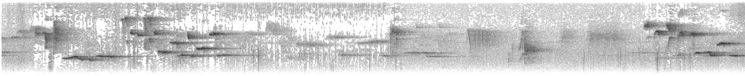 Pale-chinned Flycatcher - ML610386374