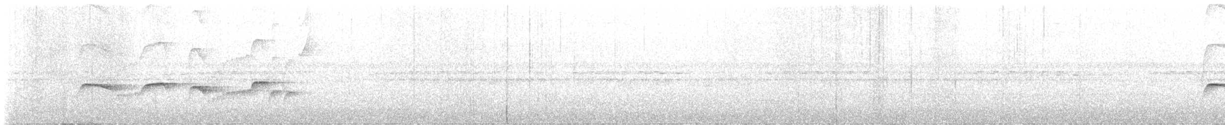 Atlantik Karınca Tiranı - ML610393738
