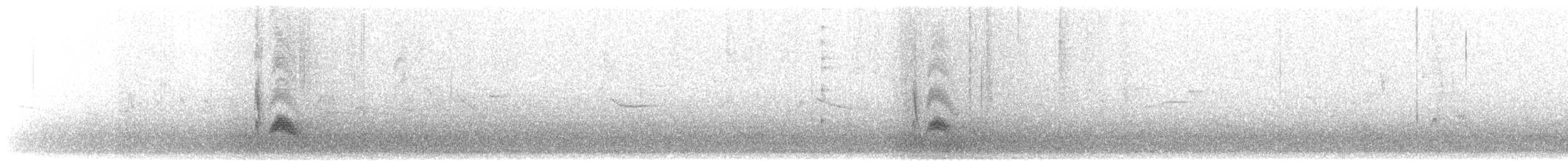 Серогрудый тиранн - ML610397390