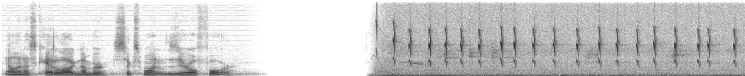 Azure-crowned Hummingbird (Azure-crowned) - ML6104