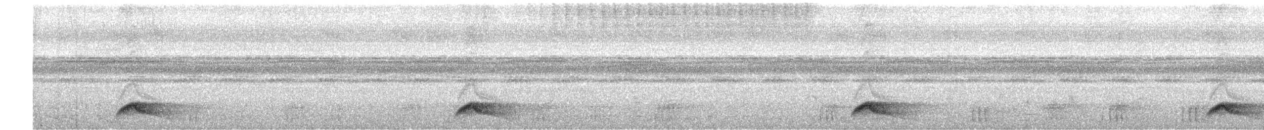 Common Pauraque - ML610409755