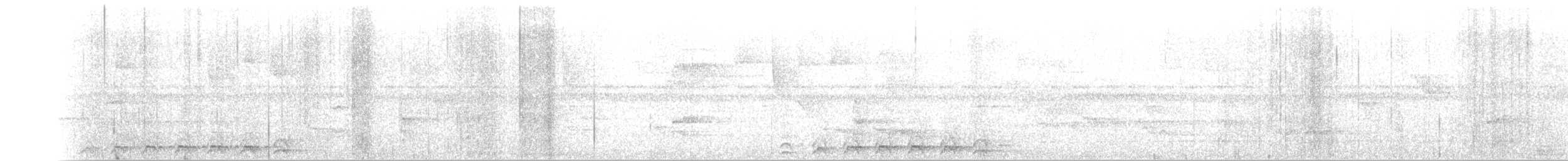Пестрохвостый трогон - ML610413539