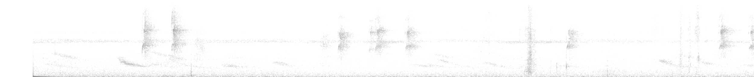 Weißkehl-Ameisenvogel - ML610413796