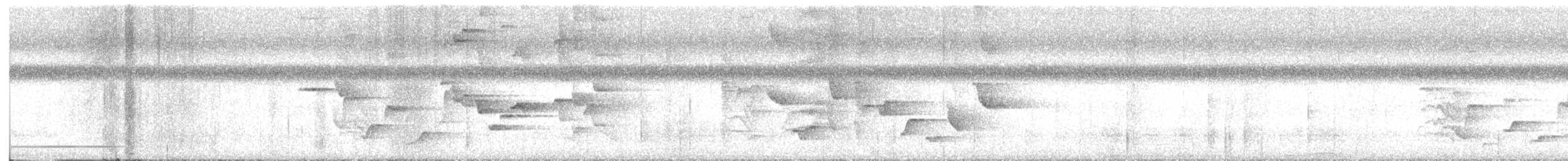 Палауская веерохвостка - ML610419877