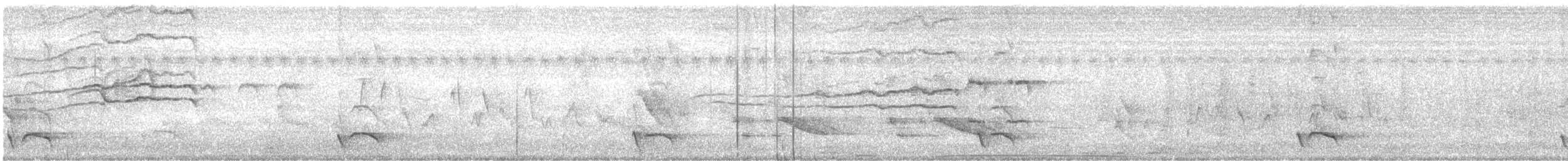 Carpophage argenté - ML610424243