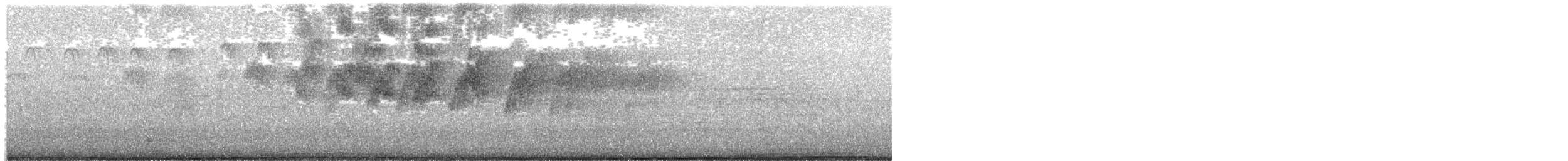 Halsbandsegler - ML610426732