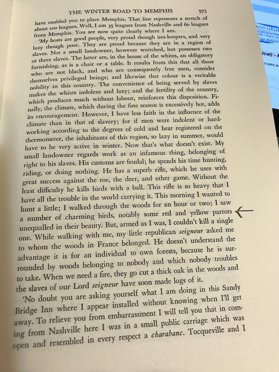 Carolina Parakeet - ML61042691