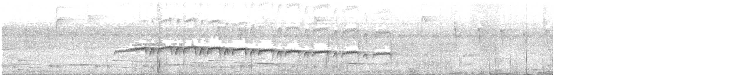 Мурав’янка-куцохвіст плямиста - ML610431245