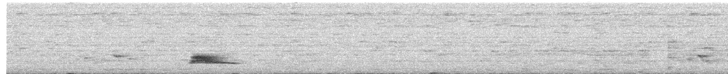 Дятел-смугань жовтовусий (підвид chrysochloros) - ML610434611