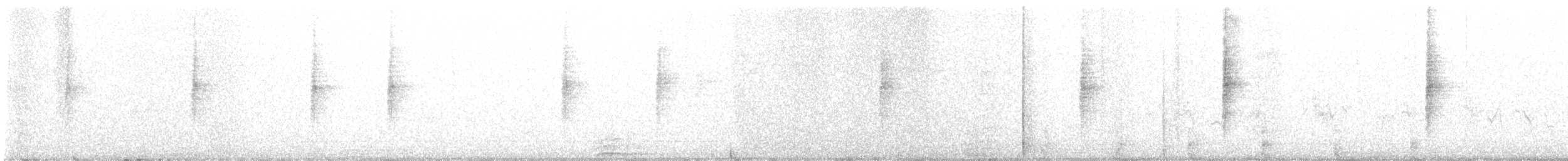 Troglodyte de Bewick - ML610441148