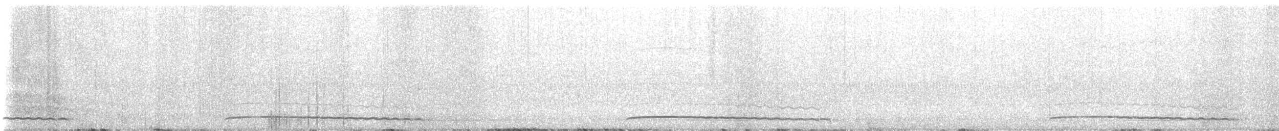 Eastern Screech-Owl - ML610443084