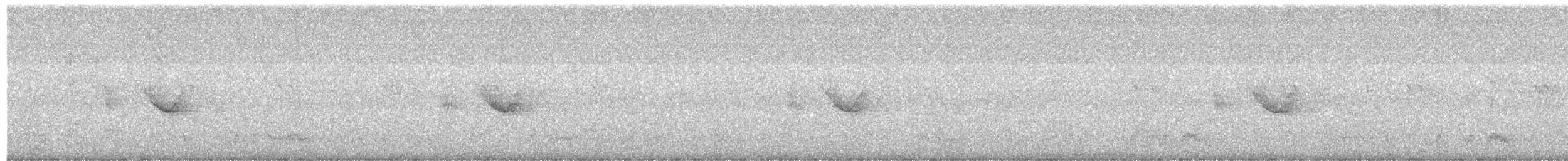Spot-tailed Nightjar - ML610448252