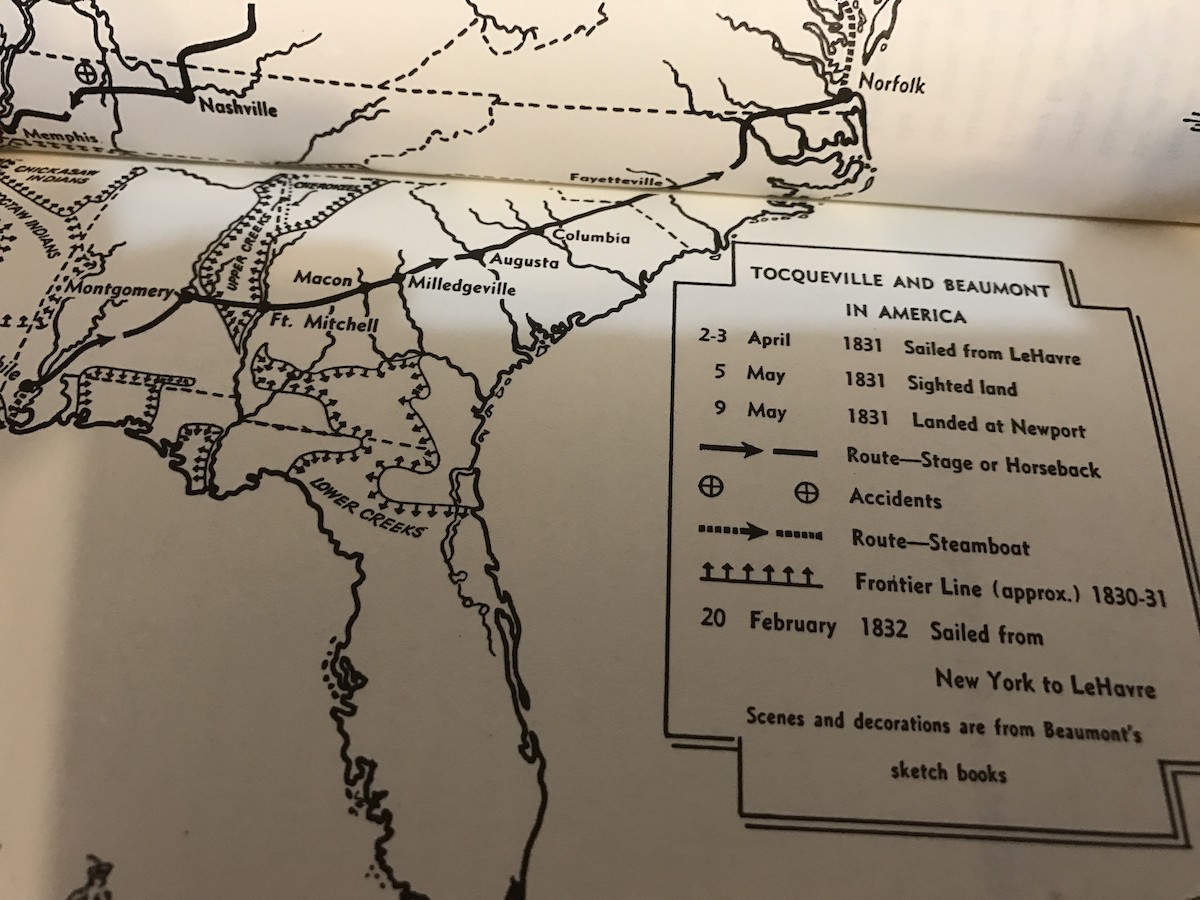 Carolina Parakeet - ML61045581