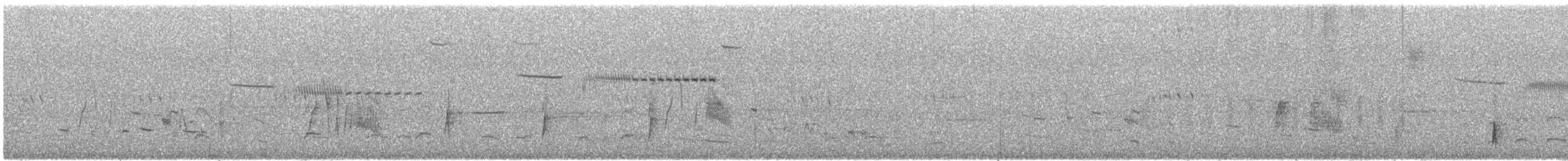 Cassin's Sparrow - ML610456359