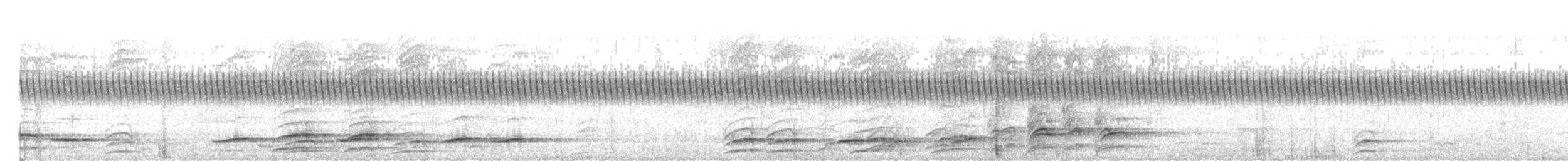 rødparadisfugl - ML610459772