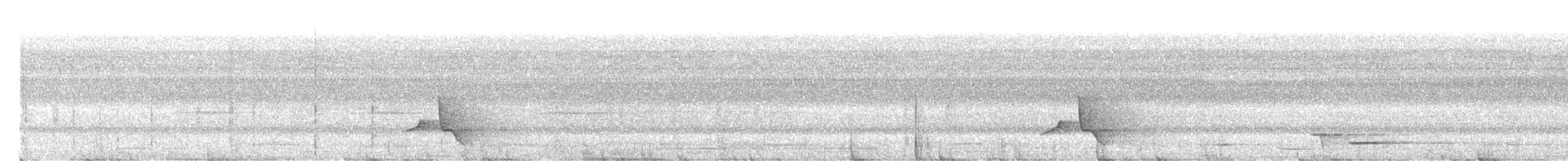 Miro à flancs noirs - ML610459834