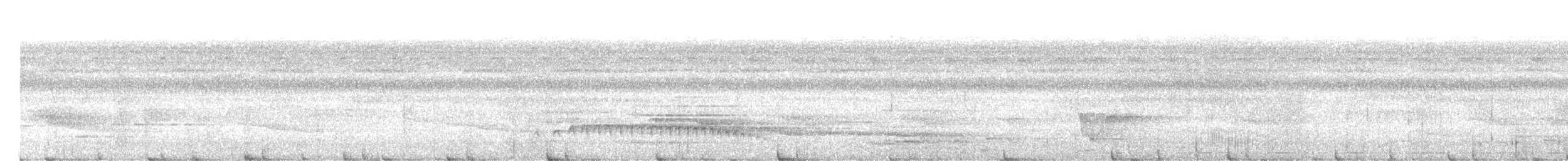 Papuan Pitta - ML610460049