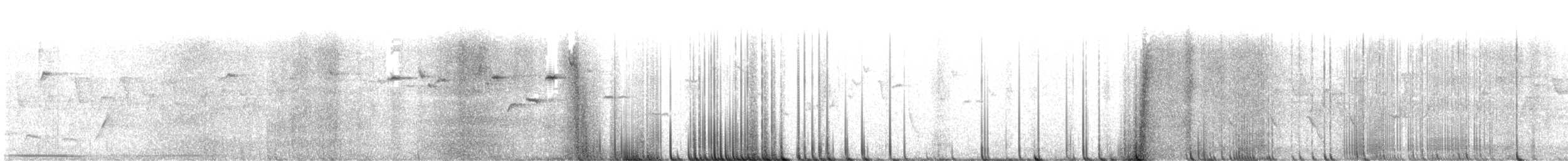 svartsigdnebb - ML610460528