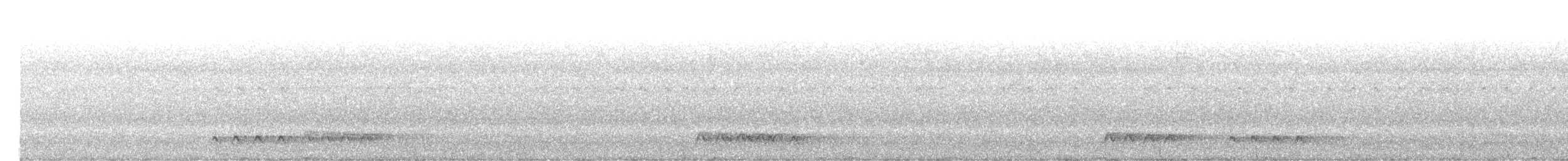 hvitkronegjøk - ML610460851