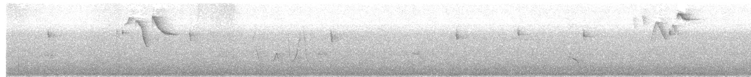 Заросляк строкатоголовий - ML610461991