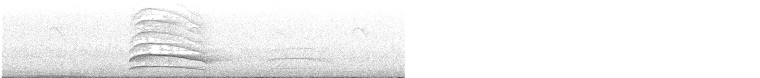 Dominohabicht - ML610463531