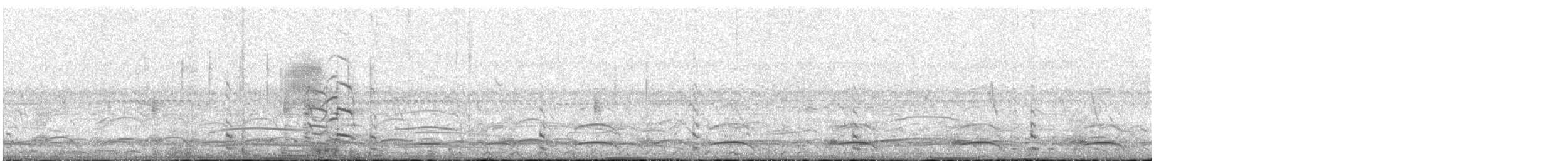 Pinnated Bittern - ML610468547