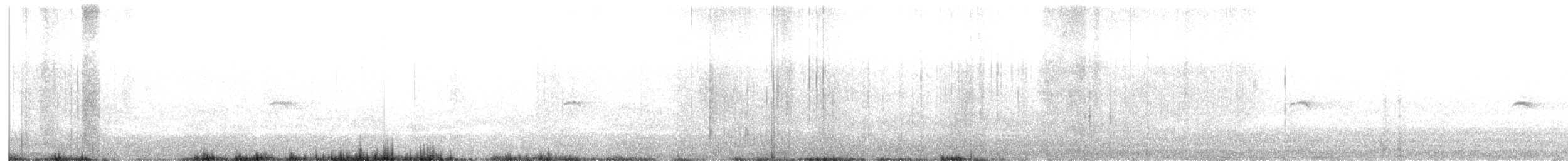 gransanger (tristis) (sibirgransanger) - ML610471276