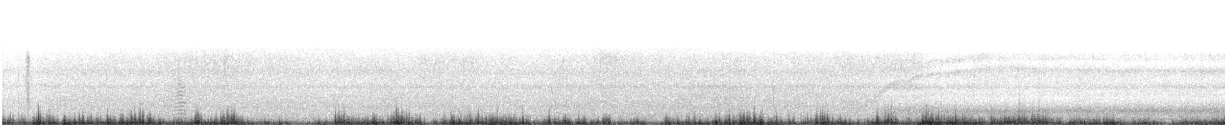Ibis falcinelle ou I. à face blanche - ML610475777