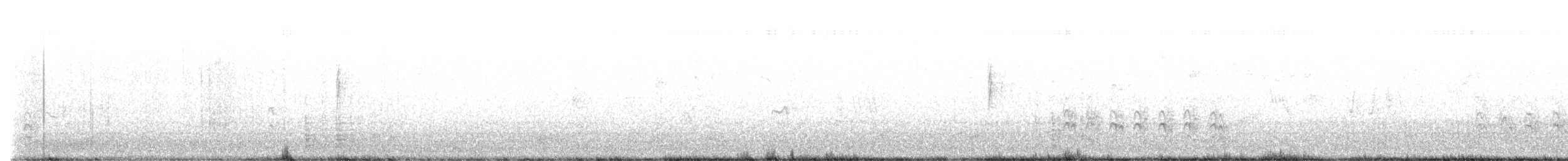 Weißbrustkleiber - ML610479671