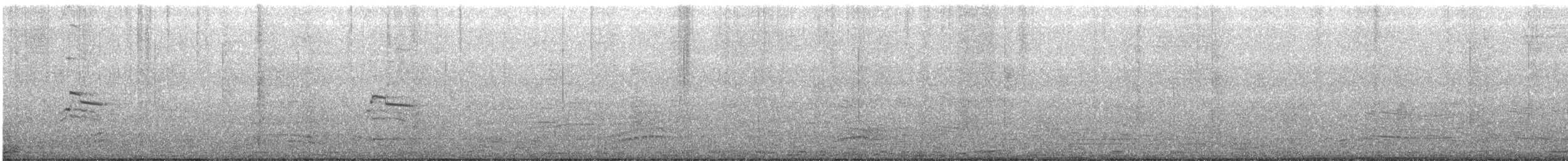 アイスランドカモメ（亜種 カナダカモメ） - ML610486641