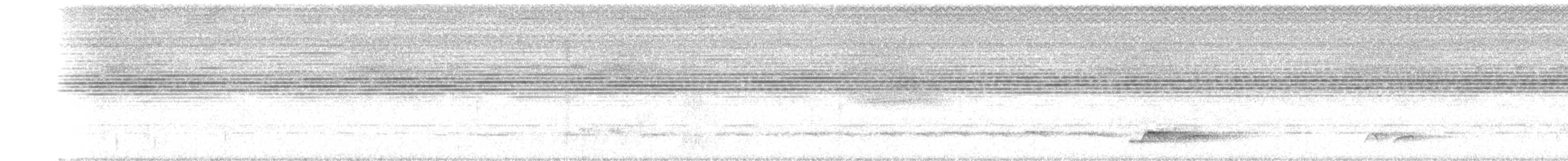 Bar-bellied Pitta - ML610495824