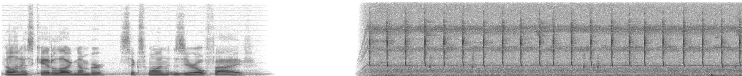 Cinnamon Hummingbird (Mainland) - ML6105