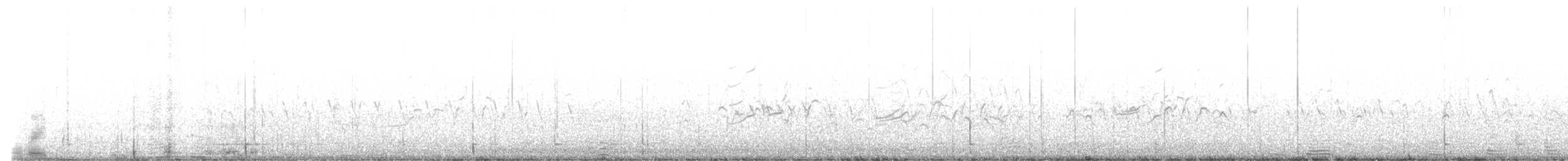 Kara Karınlı Islıkçı Ördek - ML610500252