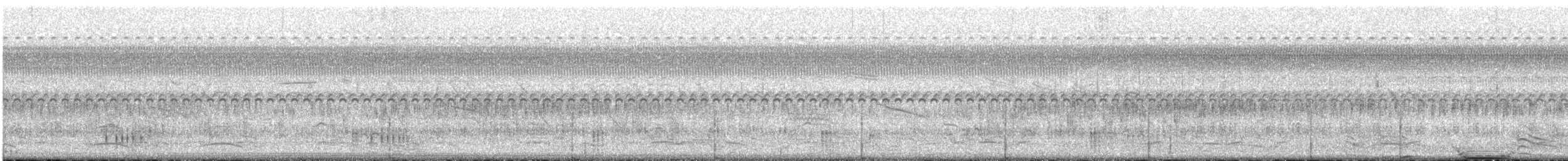 Pinnated Bittern - ML610506815