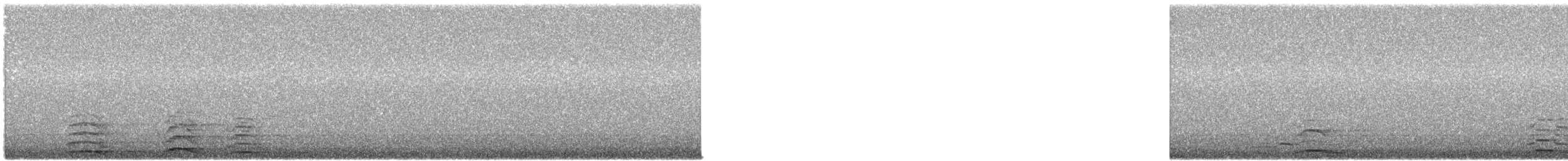 Tundra Swan - ML610507098