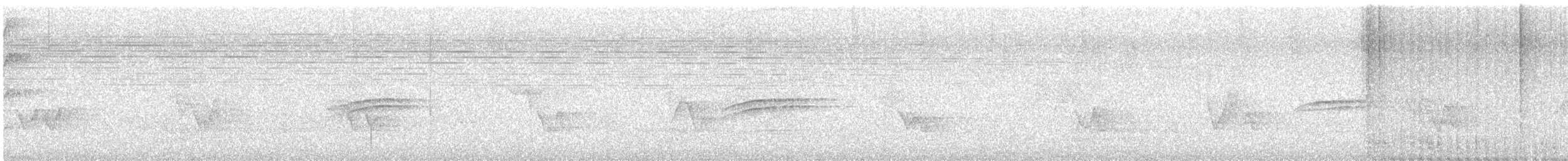 Дрізд-короткодзьоб плямистоволий - ML610508123