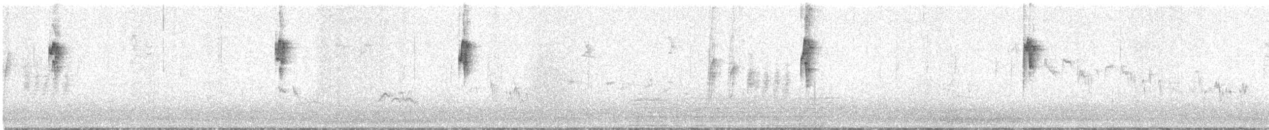 Spotted Flycatcher - ML610511590
