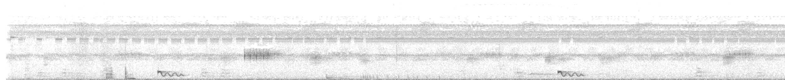 Jerdon's Nightjar - ML610511604