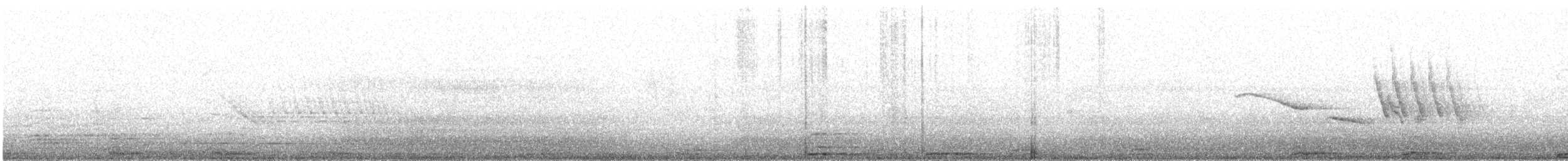 Bare-faced Ground Dove - ML610511718