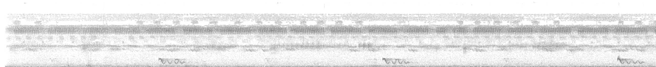 Jerdon's Nightjar - ML610512029