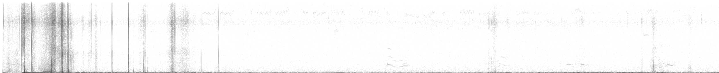 husa běločelá - ML610517163